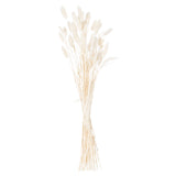Dried White Bunny Tail Bunch Of 60