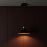 Pendant light fixture casting a warm glow against a dark wooden panel wall.