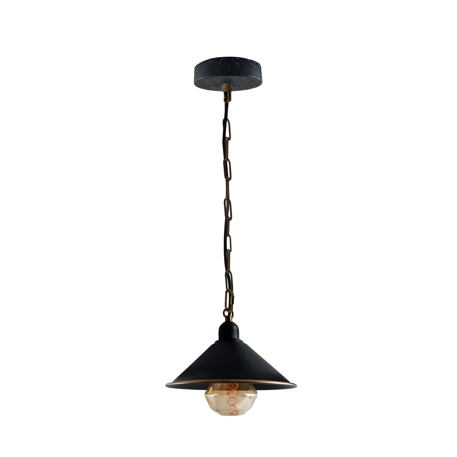 Danny Metal Cone Ceiling Pendant Light in Black