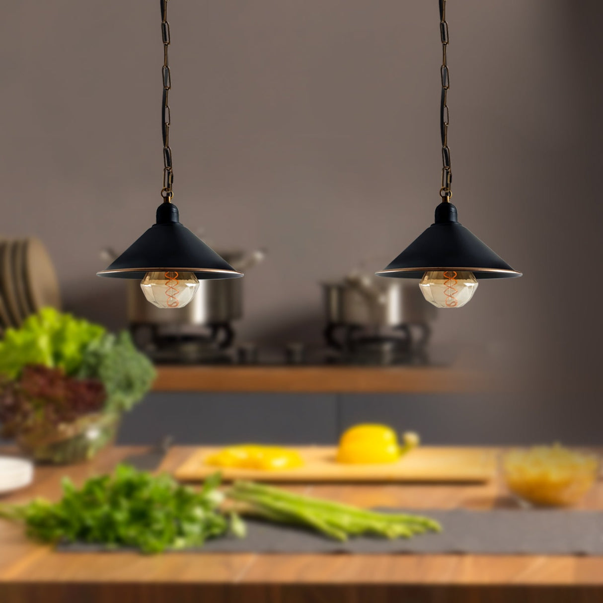 Danny Metal Cone Ceiling Pendant Light in Black