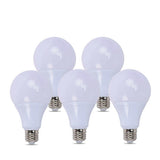 Five white light bulbs with silver bases on a white background

