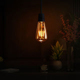 Vintage-style light bulb hanging in a dark room with decorative elements.