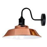 Zinnia Swan Neck Wall Sconce