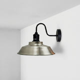 Zinnia Swan Neck Wall Sconce