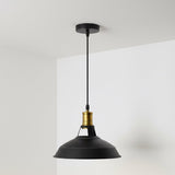 Celeste Ceiling Pendant Light in Black with Gold Details