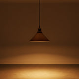 Brown pendant light hanging against a brown wall with a reflective surface.